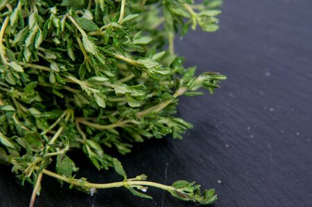 fresh green thyme, Thymus vulgaris, on a dark slate background with copy spaceの写真素材