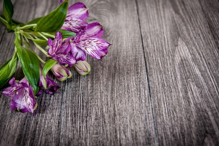 flowers on wooden background. Free space for text, closeupの写真素材