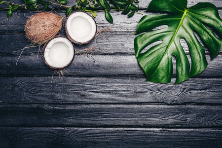 Green leaves of Monstera plant growing in wild, the tropical forest plant on black background. The coconut is the white flesh of the coconut walnut. Top view image. Copyspace for your text.の写真素材