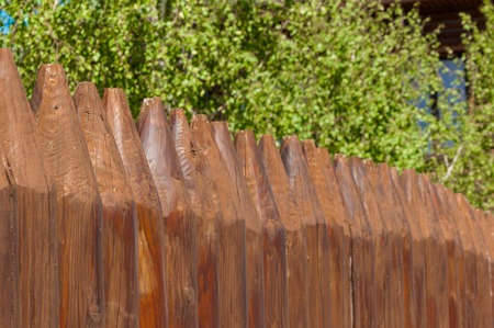 Old wooden fence  and trees on the lake coast, Russian landscapeの写真素材