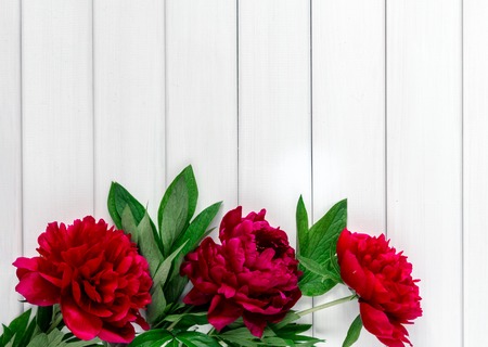 Beautiful pink red marsala peony flowers on white rustic wooden table with copy space for your text top view and flat lay styleの写真素材