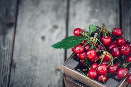 Cherries with leaves in vintage wooden box on rustic wooden table. Copy space.の写真素材