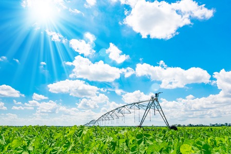 Irrigation of farmland to ensure the quality of the crop. Sunny day, sunlight.の写真素材