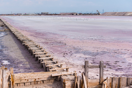 People gathering salt of pink salty Siwash Lake, colored by microalgae, famous for antioxidant properties, enriching water by beta-carotene at sunset.の写真素材