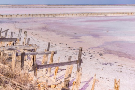 People gathering salt of pink salty Siwash Lake, colored by microalgae, famous for antioxidant...
