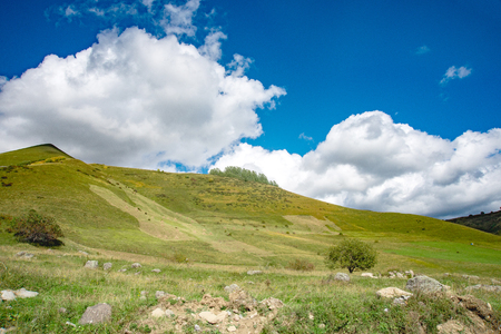 summer mountains green grass and blue sky landscape.の写真素材