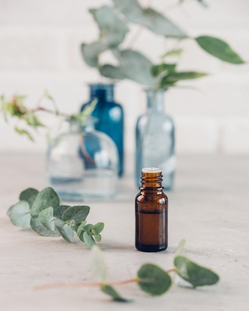 Eucalyptus essential oil and fresh leaves on the stone boardの写真素材