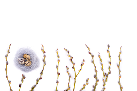 Easter isolated background with quail eggs in the nest with willow branch and easter messages.free space for your text.の写真素材