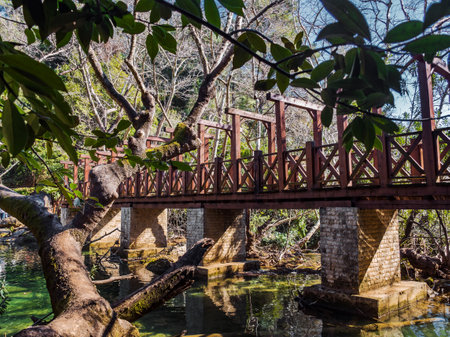 Wooden footbridge across a clean river in the mountains. Tree trunk with foliage in the foreground. No people. The suns rays break through the foliage. Travel conceptの写真素材