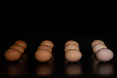 Eggs of different shades lie in rows on a black background