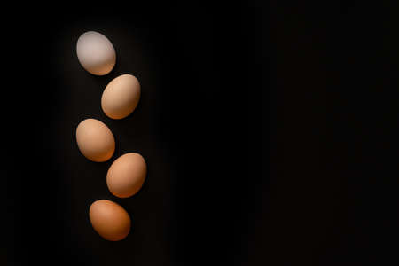 Eggs of different shades on a black background like an earの写真素材