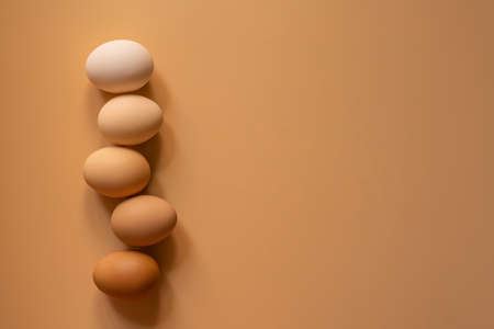 Eggs of different shades in balance on a light brown background, top viewの写真素材