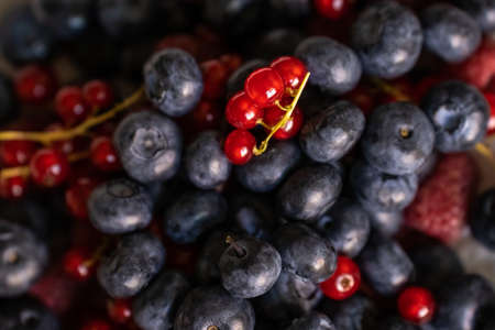 Close-up of blueberries with red currants top view