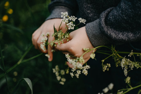 Little boy holding wildflowers in his hands. selective focus.の写真素材