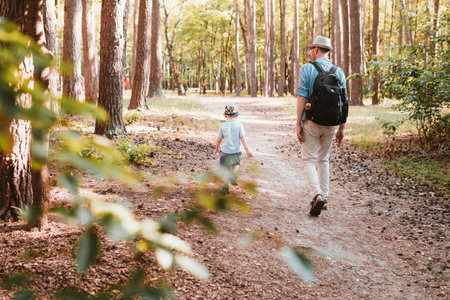 Father and a child walk through a forest in summerの写真素材