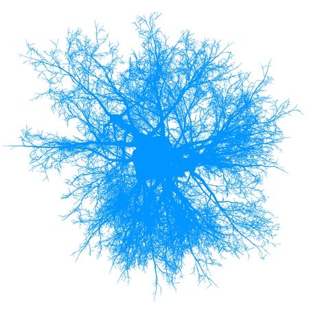 tree leafless top view silhouette isolated - blue - vector illustrationのイラスト素材