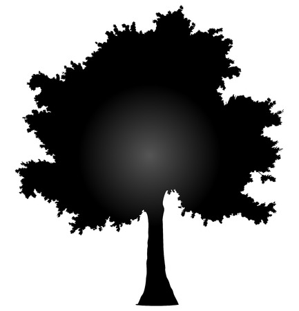 Tree profile silhouette isolated - black gradient detailed - vector illustrationのイラスト素材