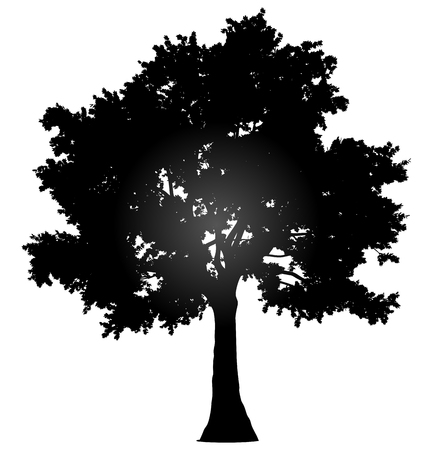 Tree profile silhouette isolated - black gradient detailed - vector illustrationのイラスト素材