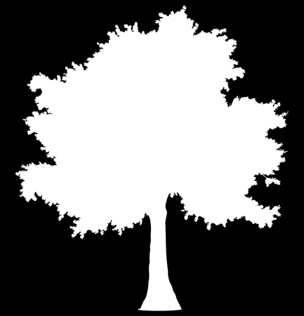 Tree profile silhouette isolated - white simple detailed - vector illustrationのイラスト素材