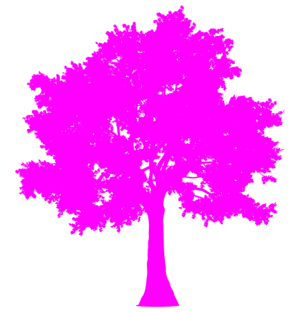Tree profile silhouette isolated - purple simple detailed - vector illustrationのイラスト素材