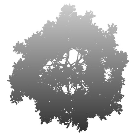 Tree top silhouette isolated - medium gray gradient detailed - vector illustrationのイラスト素材