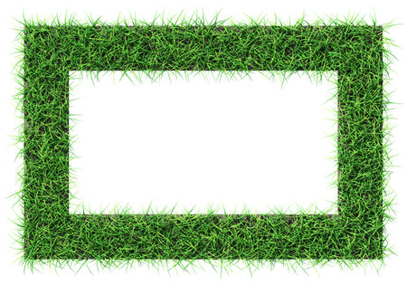 Grass frame - design element isolated - 3d rendering