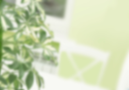 Light abstract background with green plantsの写真素材