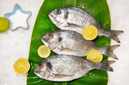 Dorado fish on ice decorated with lime and basilの写真素材
