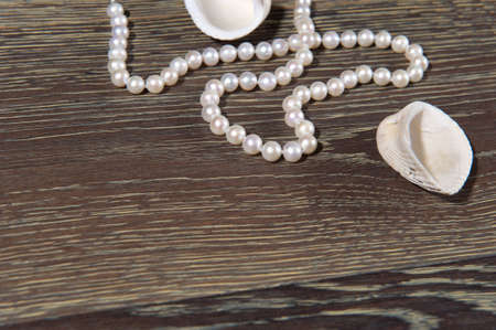 Abstract background with pearl beads and seashellsの写真素材
