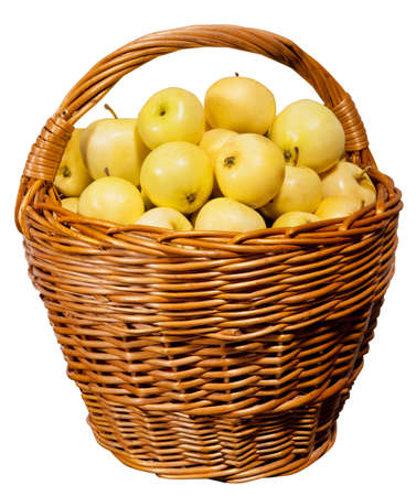 Ripe yellow apples in a basketの写真素材