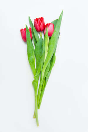 Abstract background with flowers tulipsの写真素材