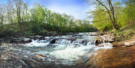 Mountain river with rapids in the Ukrainian Carpathians in spring with trees on the banks