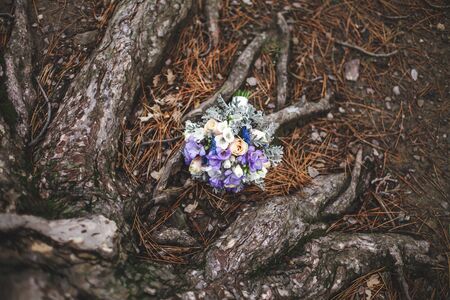 Beautiful wedding colorful bouquet for bride. Beauty of colored flowers. Close-up bunch of florets. Bridal accessories. Female decoration for girl. Details for marriage and for married couple.の写真素材