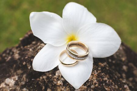 Elegant wedding rings with diamonds. Hawaiian flowerの写真素材