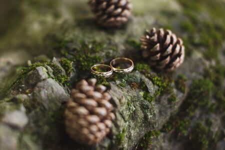 Macro photography of an elegant gold wedding ring.の写真素材