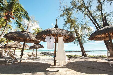 Wedding dress and grooms suit. Island. Palm trees. Beach. Sand. The sky.の写真素材