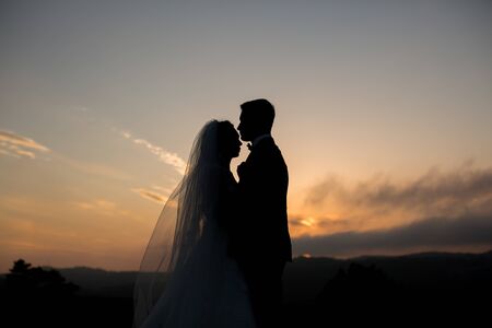 The couple the bride and groom look at each other at sunset in the mountains. Silhouettesの写真素材