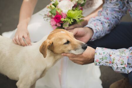 The bride and groom pet a dog on the street