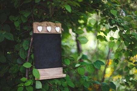Place for a wedding photo shoot in nature with the decorの写真素材