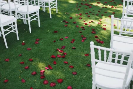 Beautiful white wedding chairs at the ceremony in the Parkの写真素材