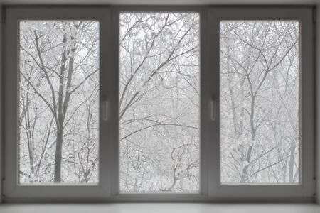 Window with winter view of snowy background.