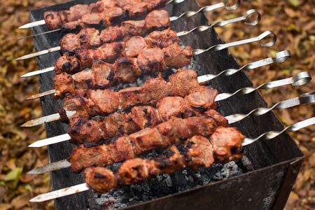 Meat roasted on fire barbecue kebabs on the grill.の写真素材