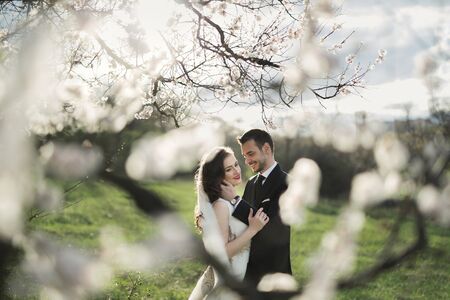 Bride and groom in the green forest.の写真素材