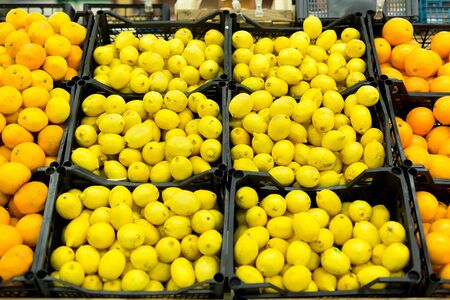 Fresh citrus are on the shelf in the store. a variety of citrus fruits. oranges, tangerines, lime, lemons. supermarketの写真素材