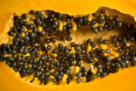 Sweet orange papaya in the context of seedの写真素材