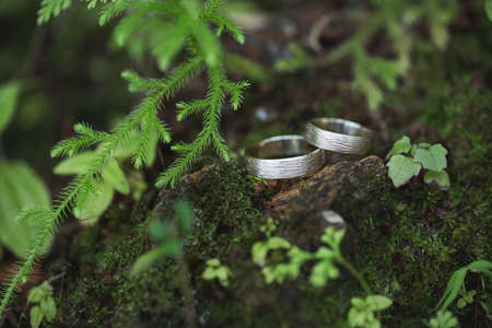 Golden wedding rings on green moss in forest.の写真素材