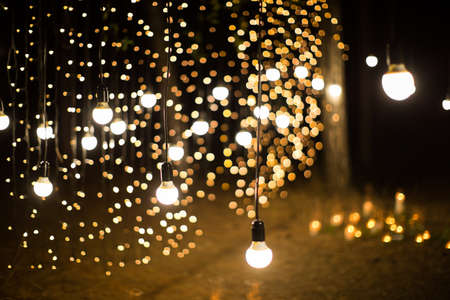 Wedding ceremony evening with candles and lamps in the coniferous pine forest.の写真素材