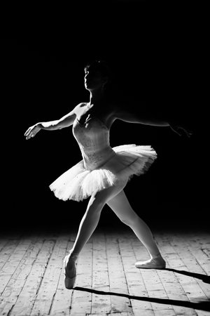 A young beautiful ballerina poses on the stage of the theater.の写真素材