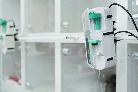 Cat in cage of ICU in veterinarian animal clinic on the drip.の写真素材