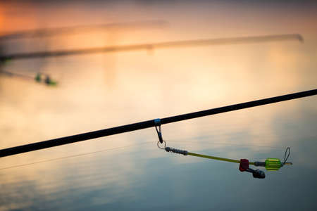 Freshwater fishing with fishing rods on the shore of the pond, lake.